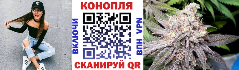 МАРИХУАНА SATIVA & INDICA дарнет шоп нарко площадка состав Мыски